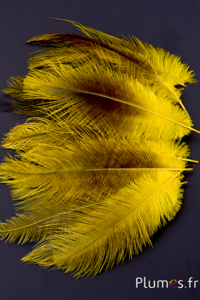Grue - 10-14 cm - jaune-gris 